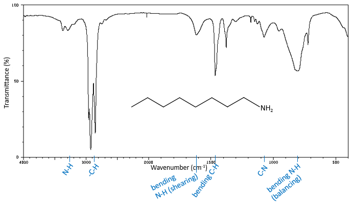 amide ir spectrum