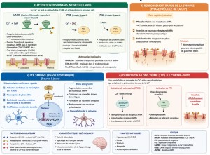 ltp 2